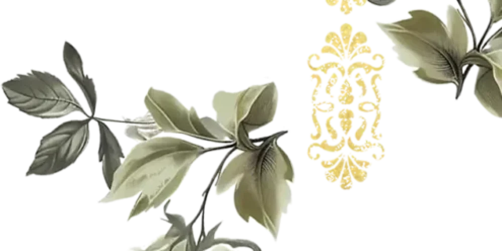 Heritage-BG-3-495x1024